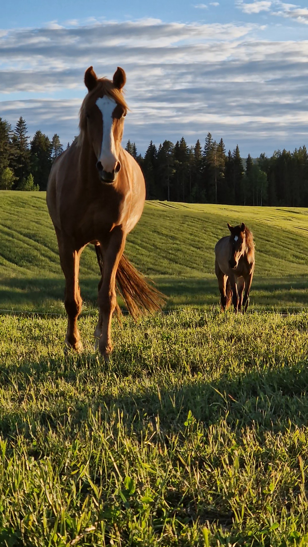 videocapture 20240623 095123